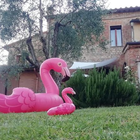 Agli Olivi Di Marciano Apartment Siena Ngoại thất bức ảnh