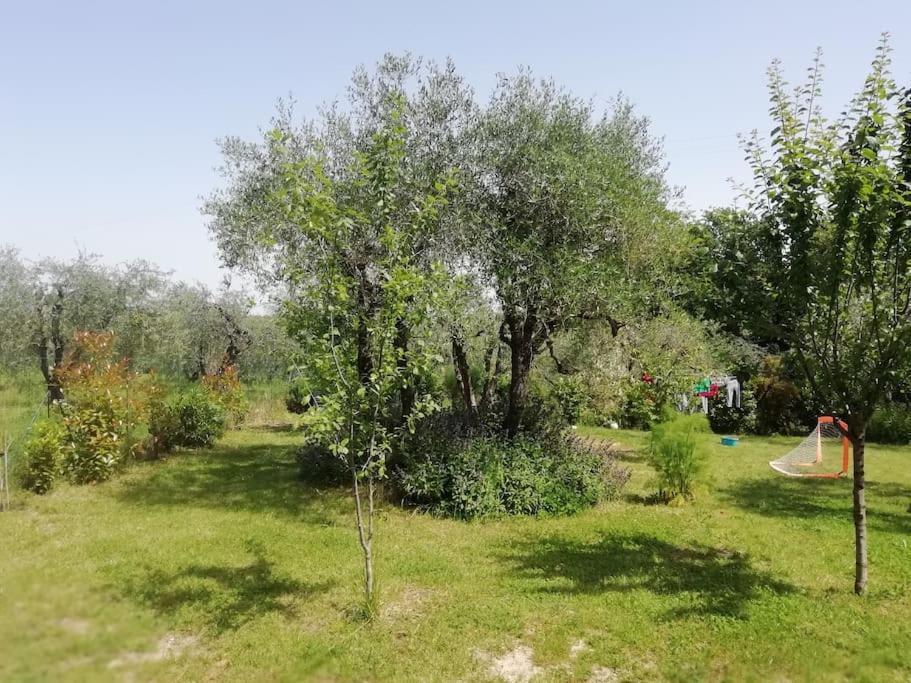 Agli Olivi Di Marciano Apartment Siena Ngoại thất bức ảnh